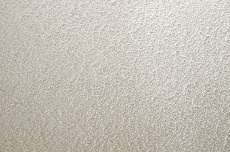 Plaster Ceiling Installation detail