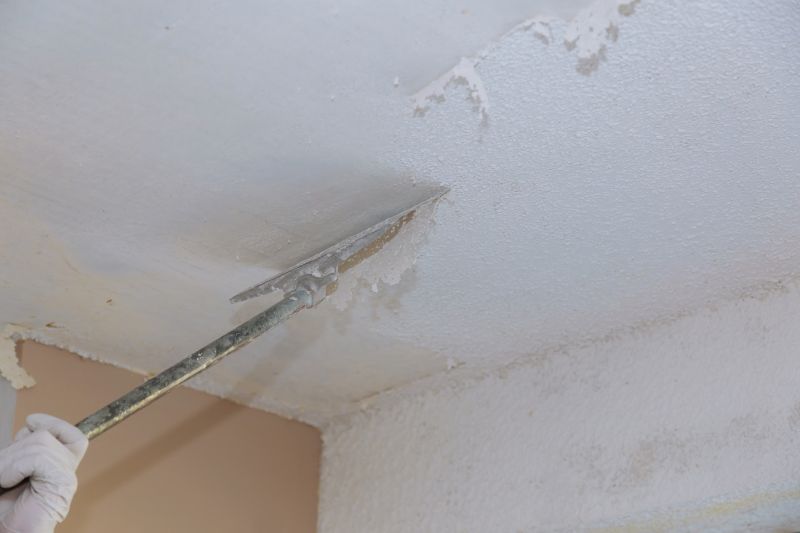 Textured Ceiling Removal detail